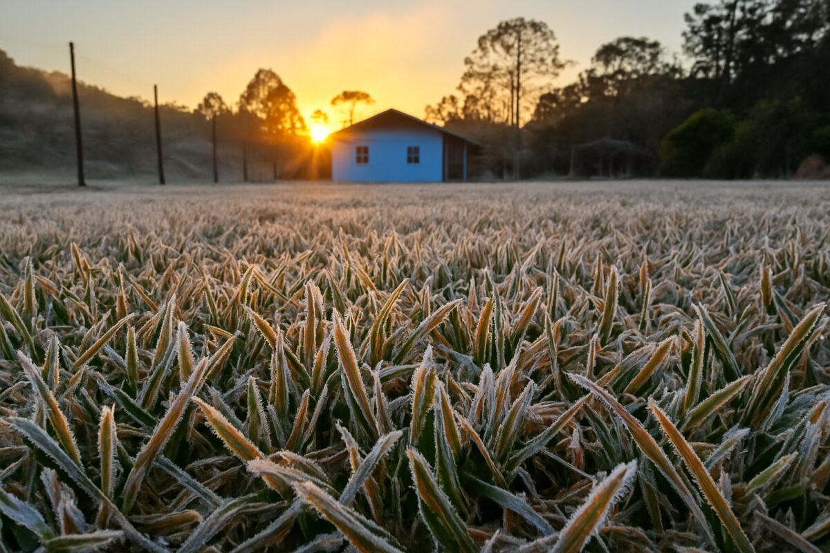 Paraná enfrenta temperaturas de até 2,3ºC em outubro; veja a previsão